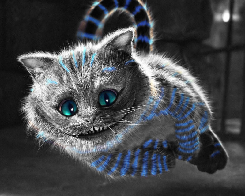 Cheshire Cat