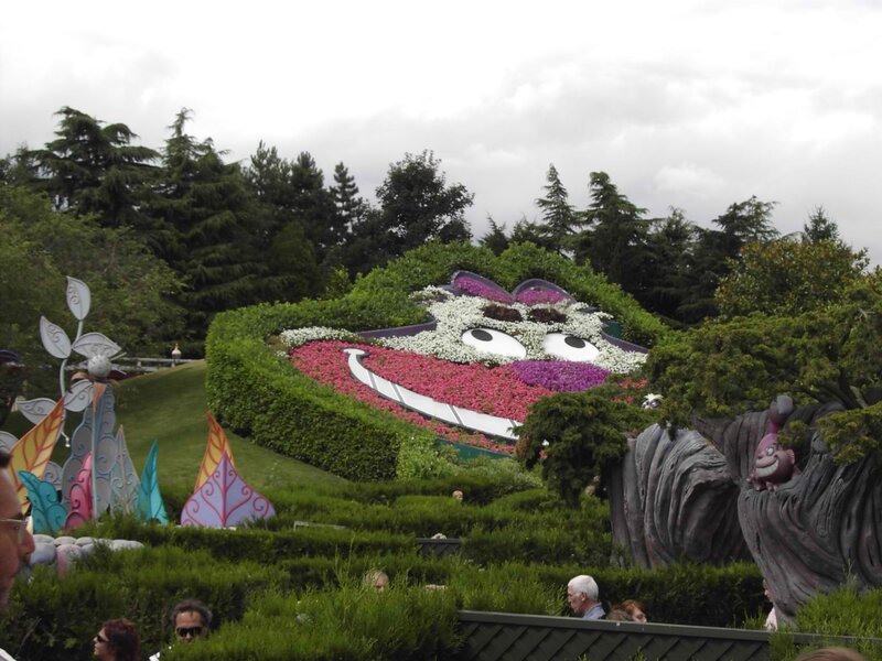 Cheshire Cat Topiary