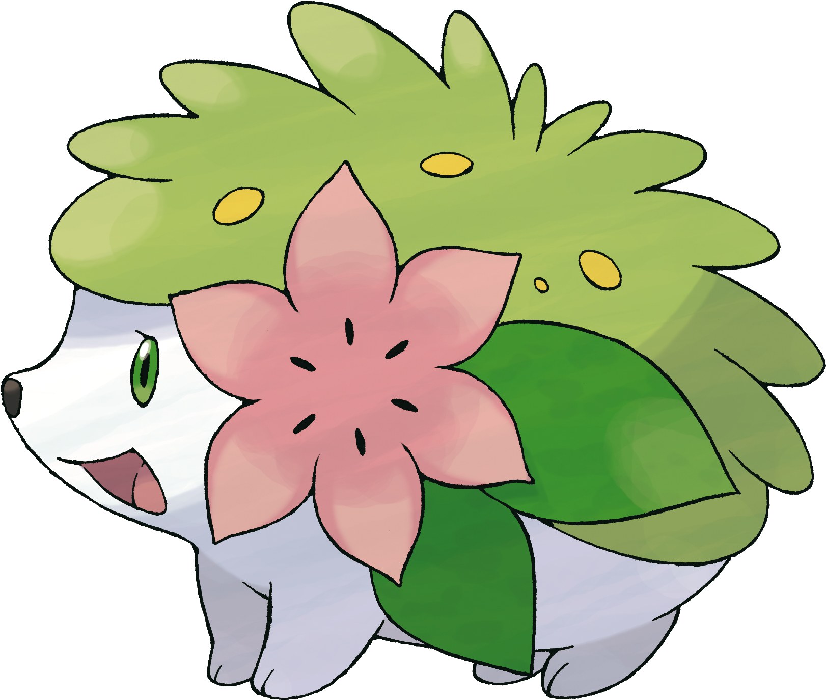 Chespin Pokémon