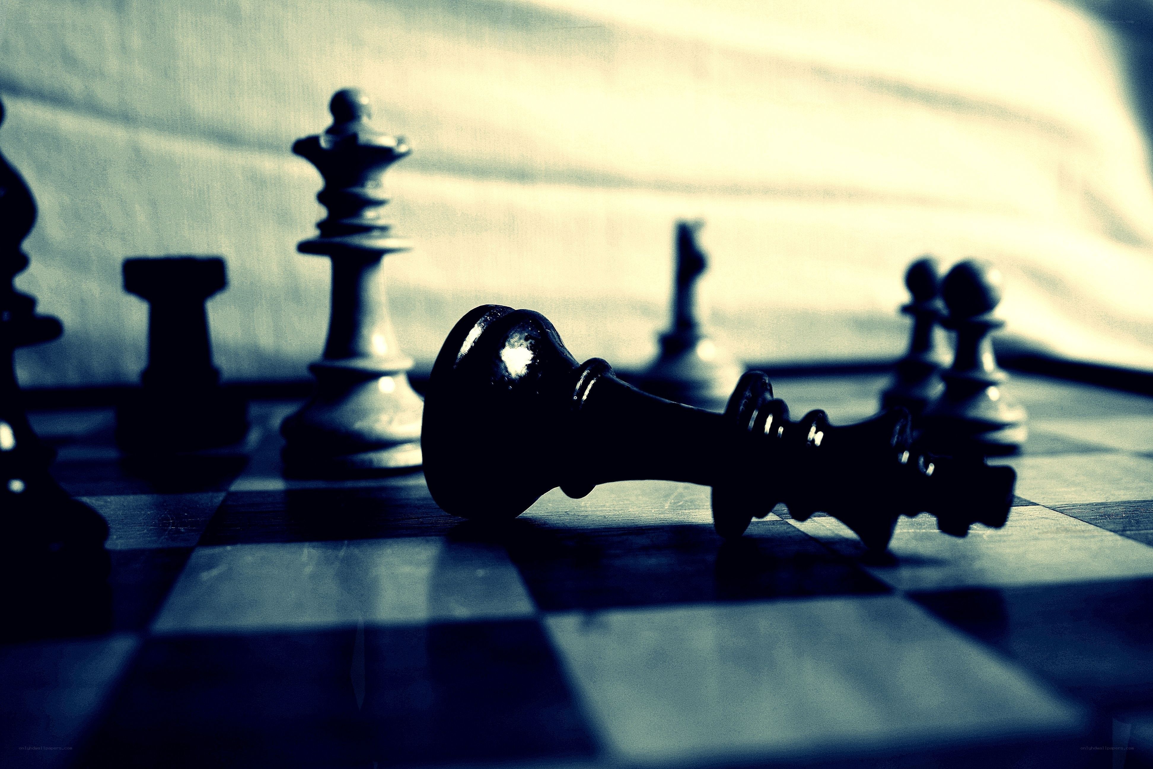 chess king fallen in defeat