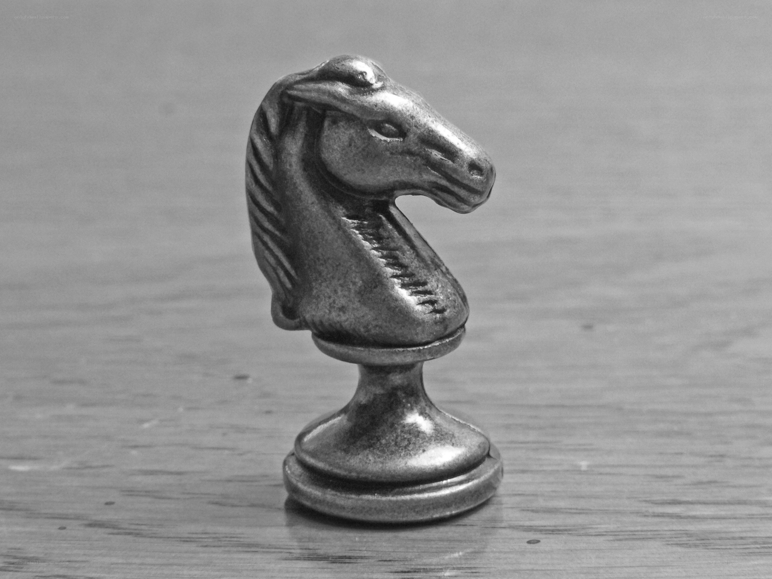chess knight piece