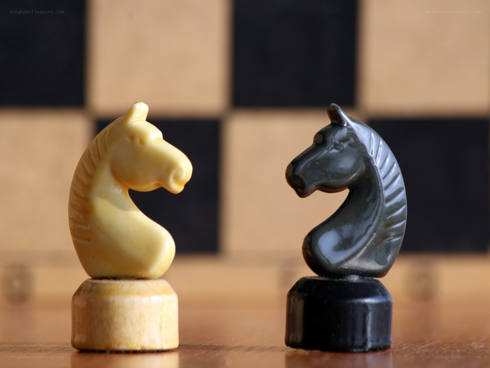 chess knights facing each other