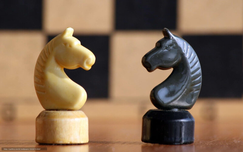 Chess Knights Facing
