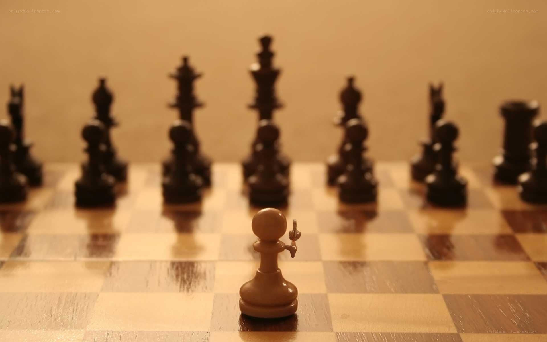 chess pawn with middle finger