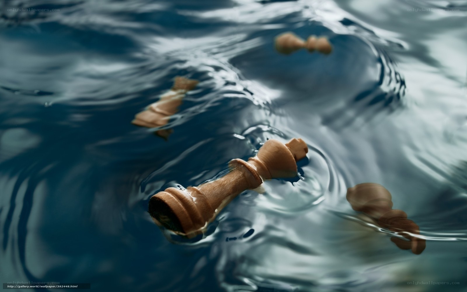 chess pieces floating in water