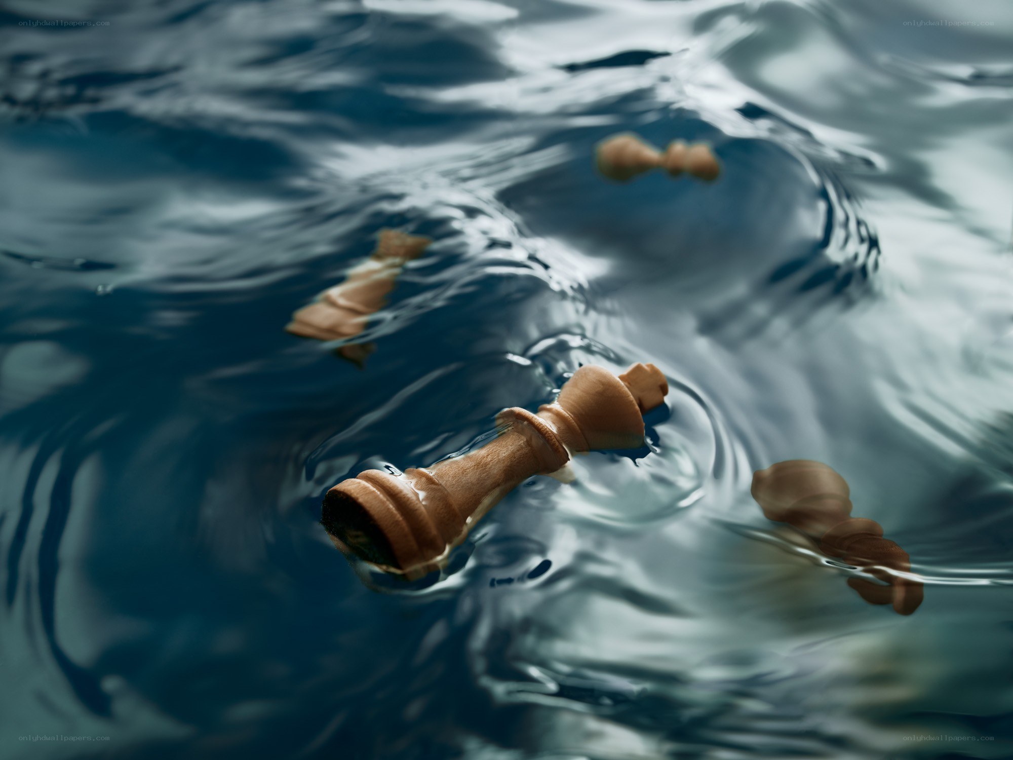 chess pieces floating in water