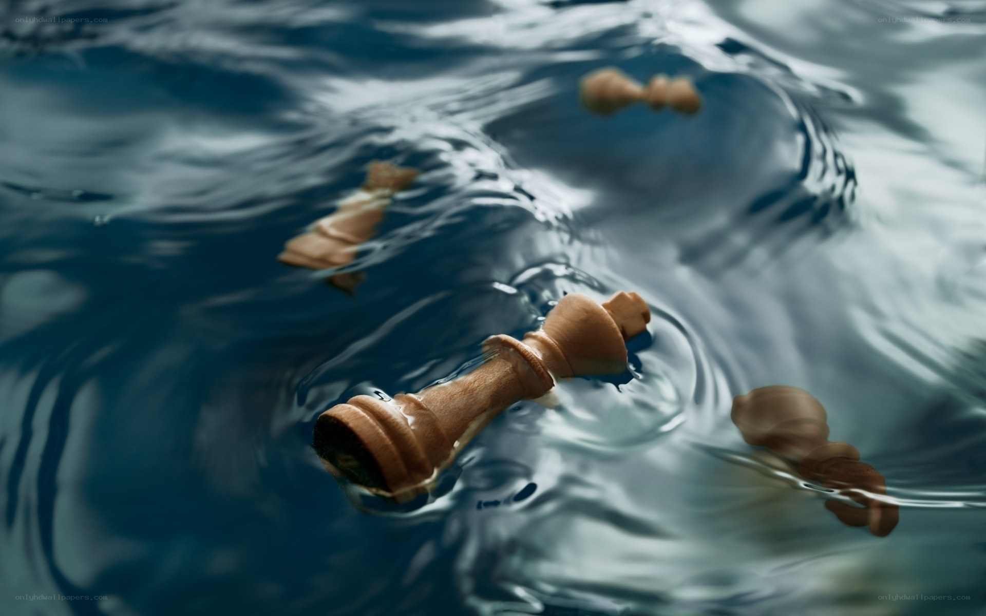 chess pieces floating in water