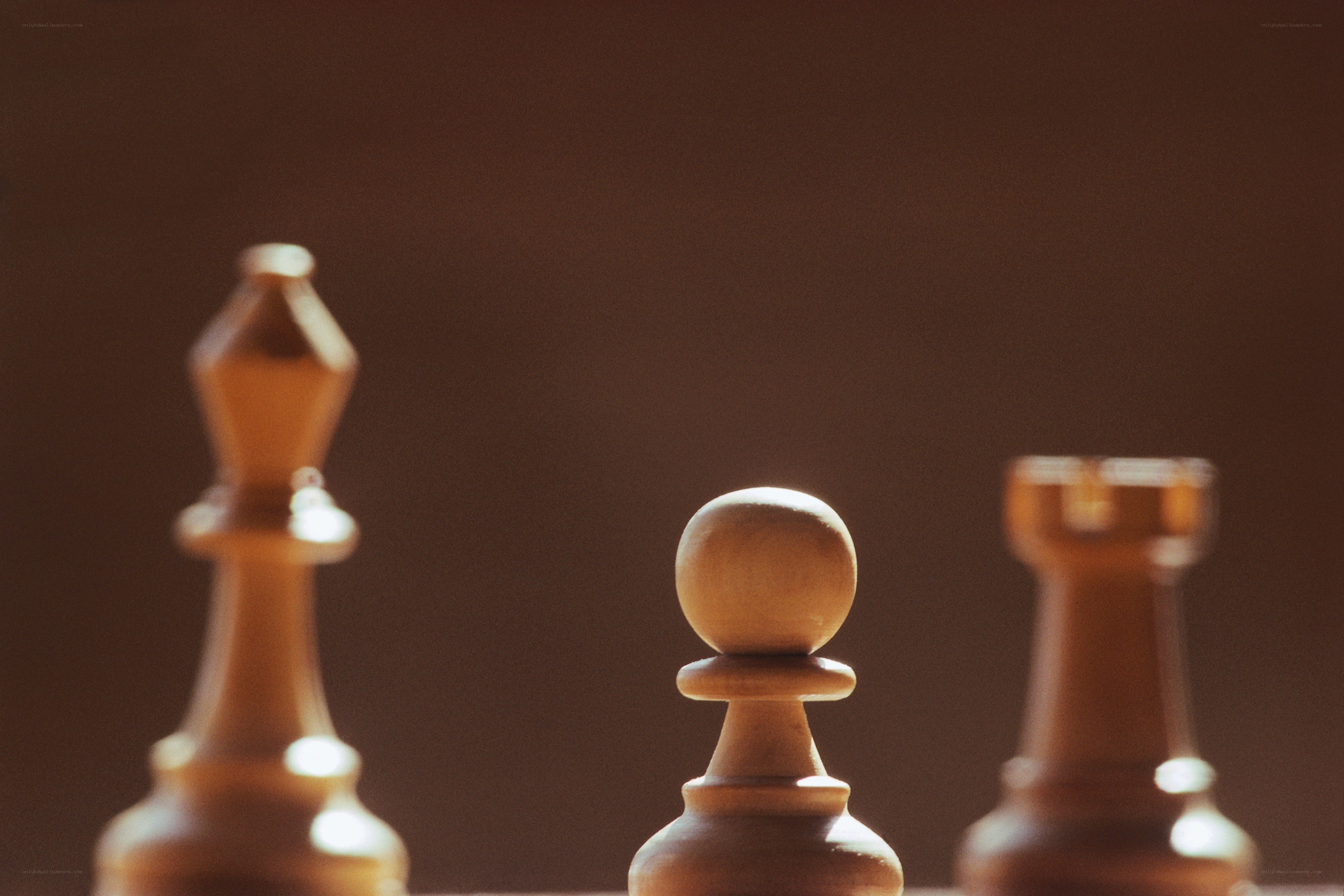 chess pieces in focus