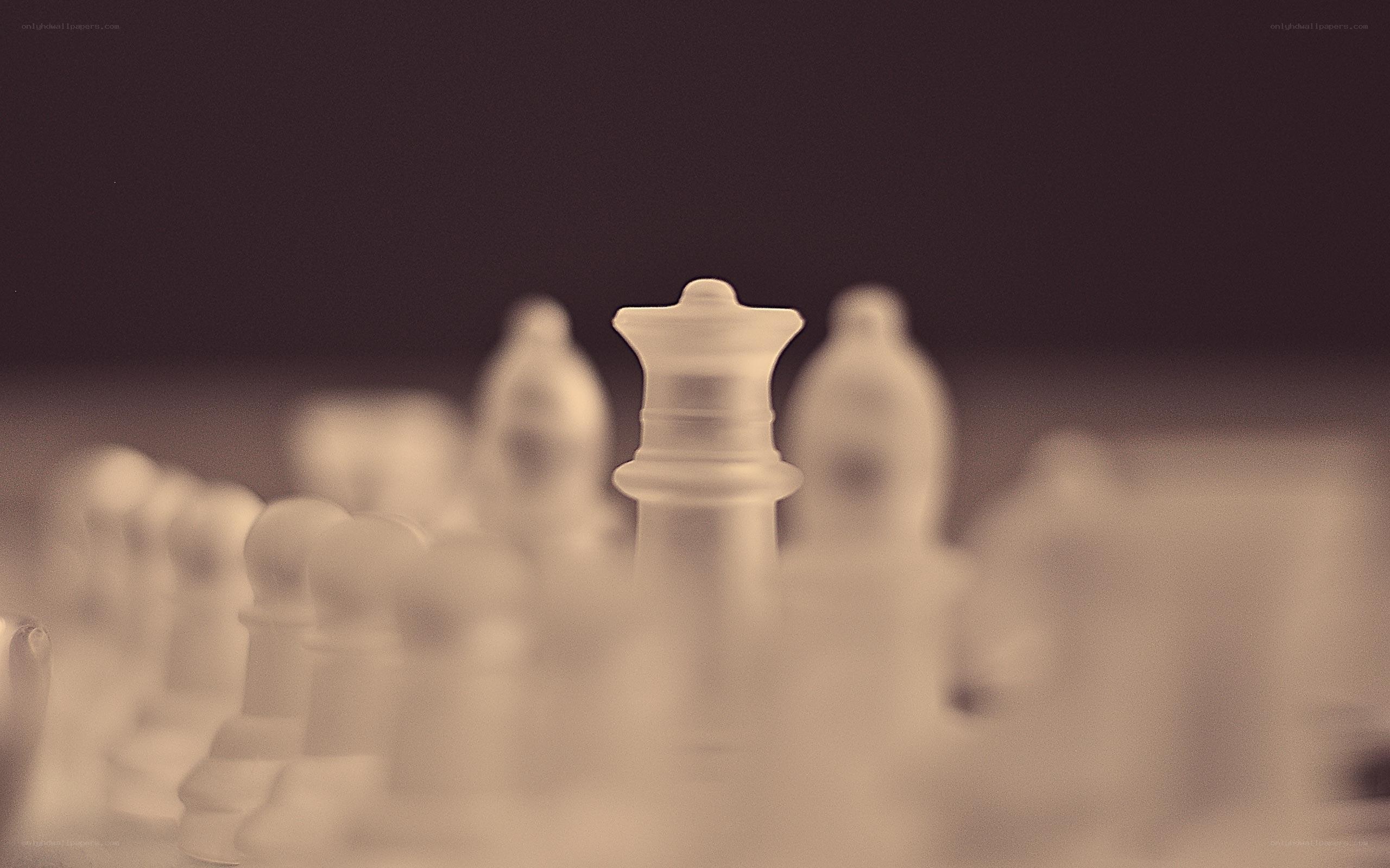chess pieces in focus
