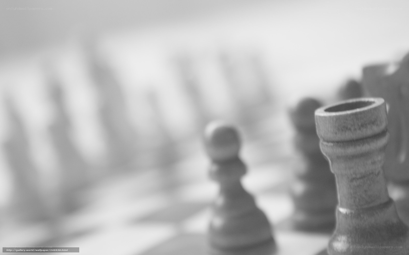 chess pieces in focus