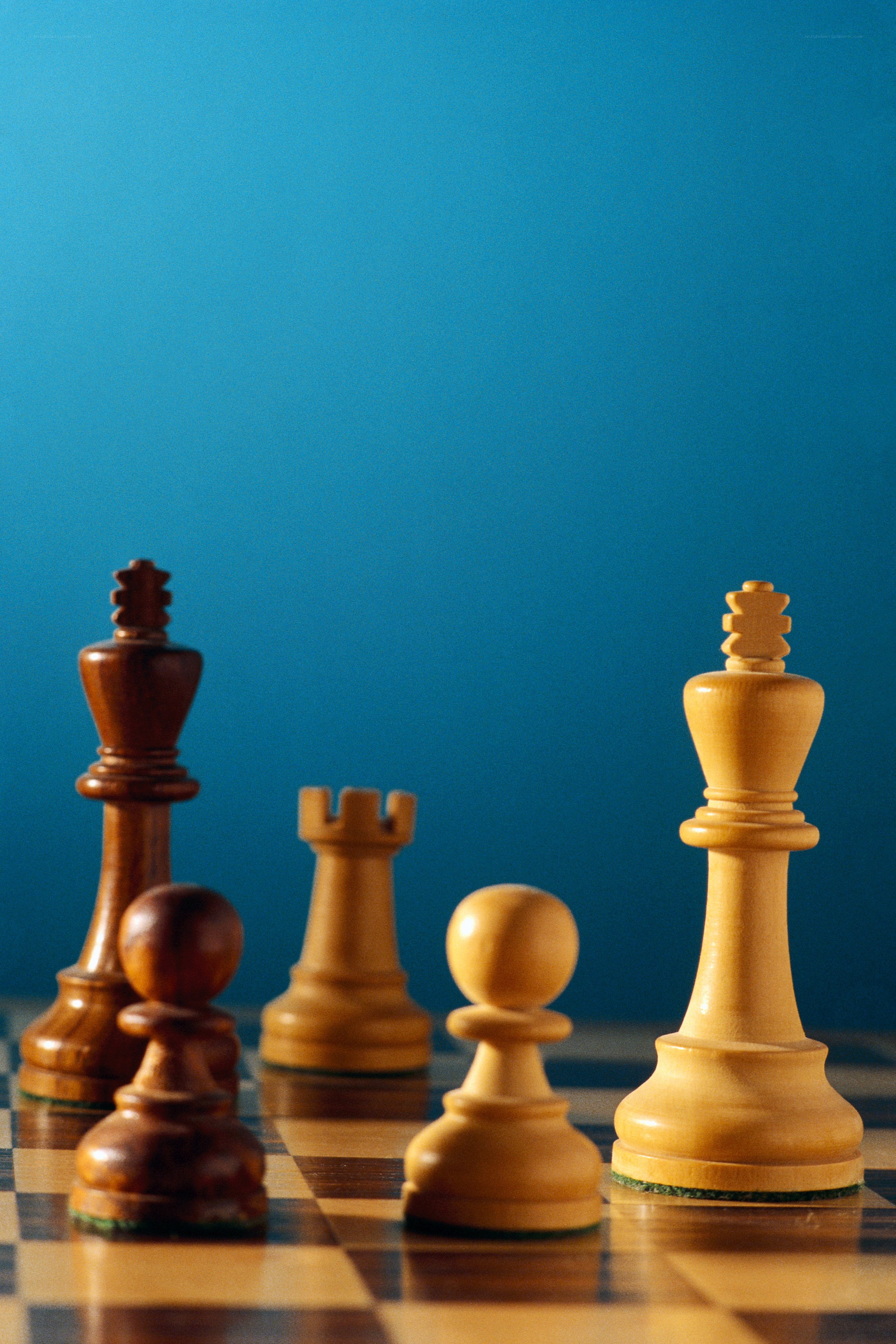 Chess pieces on a board