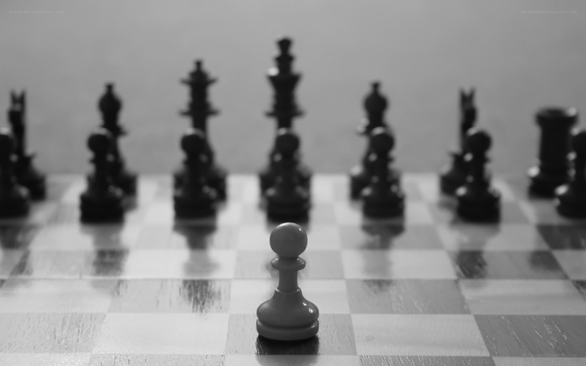 chess pieces on a board