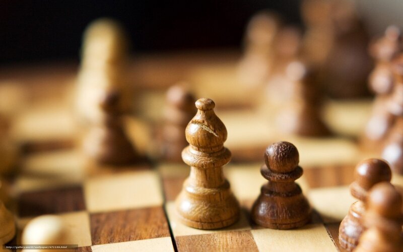 chess pieces on a wooden board