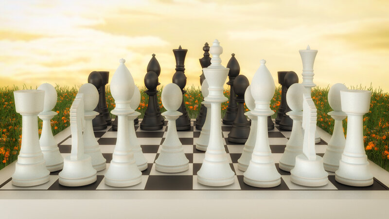 Chess Pieces on Board — White, Serene