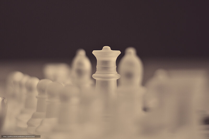Chess Pieces on Board — White