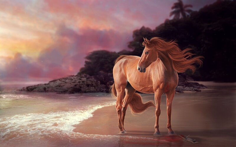 Chestnut Horse on Beach