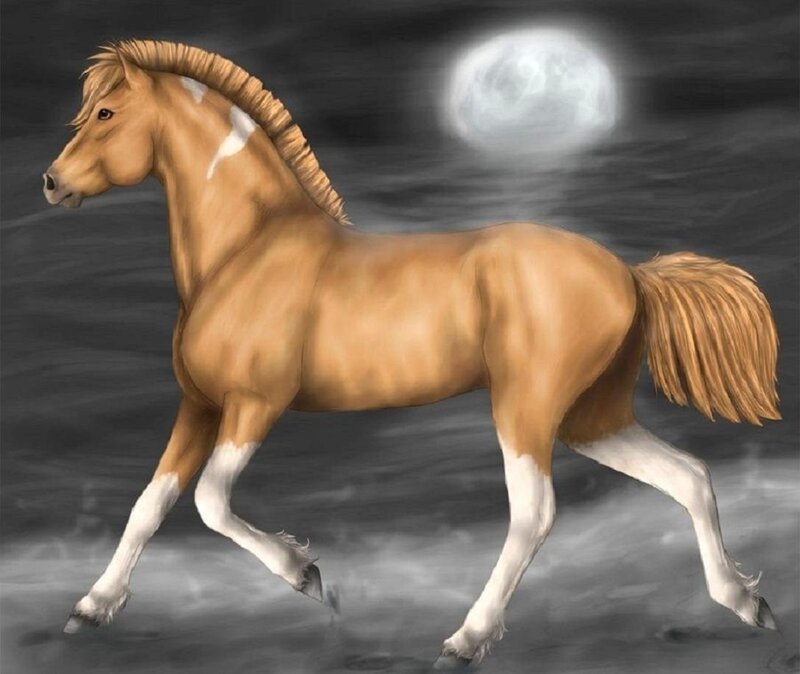 Chestnut Horse Running — Brown, Dramatic, Night