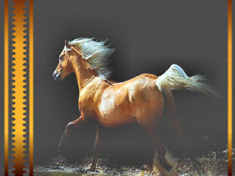 Chestnut Horse Running — Brown, Dynamic, Photograph, Water