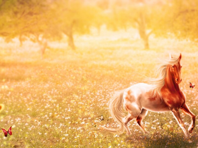 Chestnut Horse Running — Gold, Serene