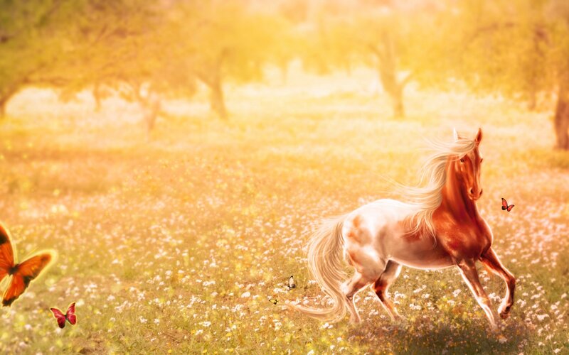 Chestnut Horse Running — Yellow