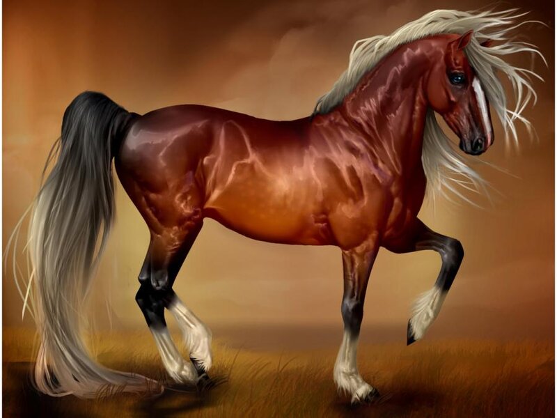 Chestnut Horse with White Mane — Brown, Dramatic, Sunset