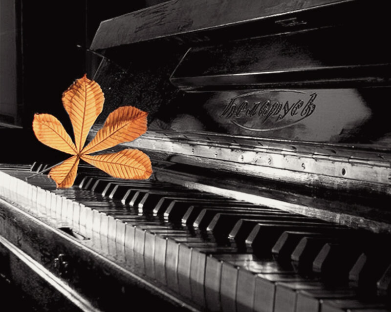 Chestnut Leaf on Piano