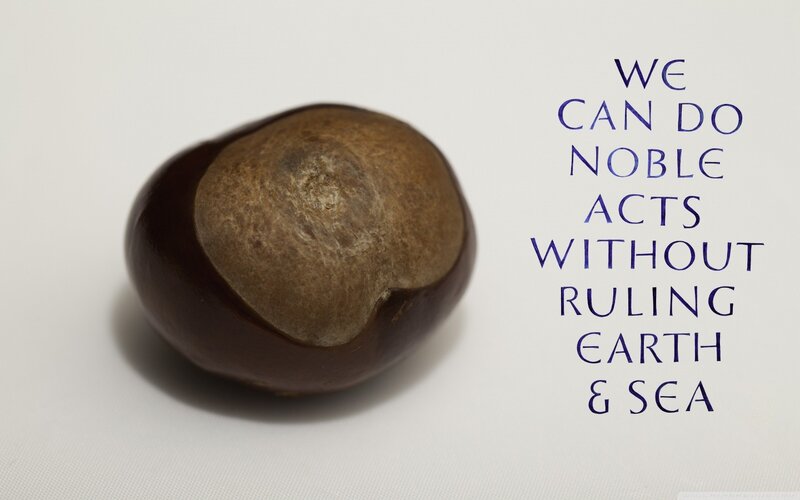chestnut with inspirational quote