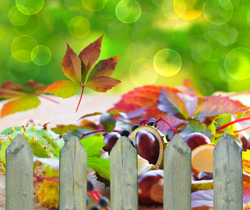 Chestnuts and Autumn Leaves — Green