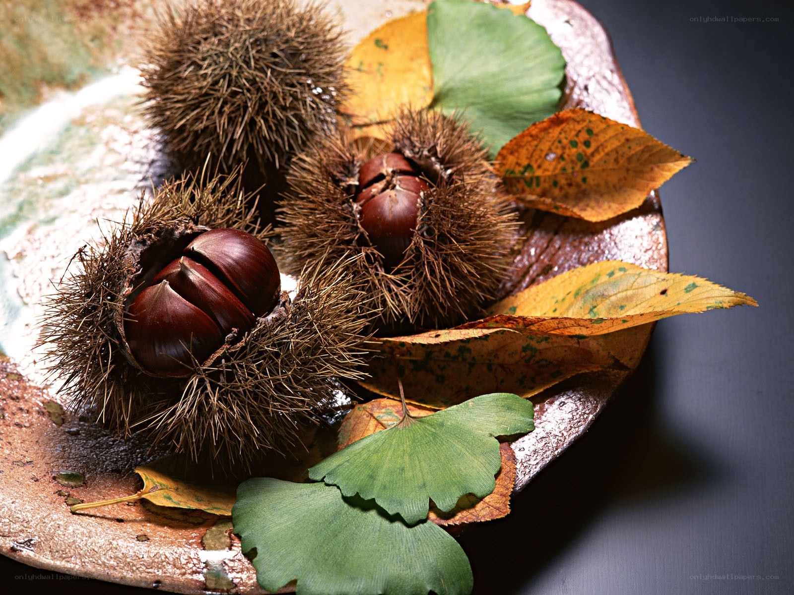 Chestnuts and autumn leaves