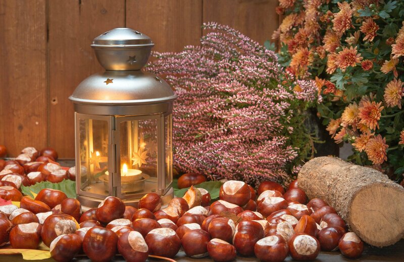 Chestnuts and Lantern