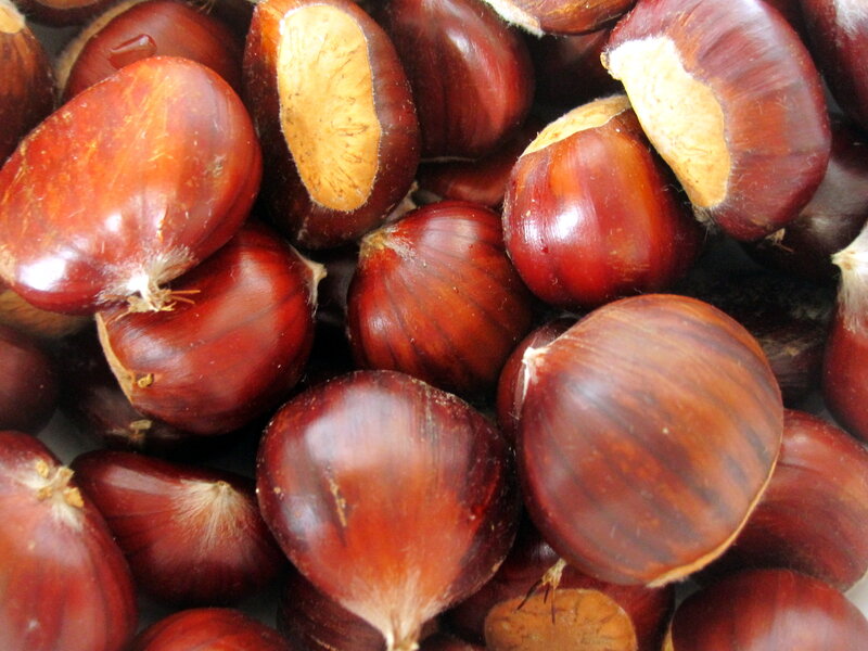Chestnuts in Shell