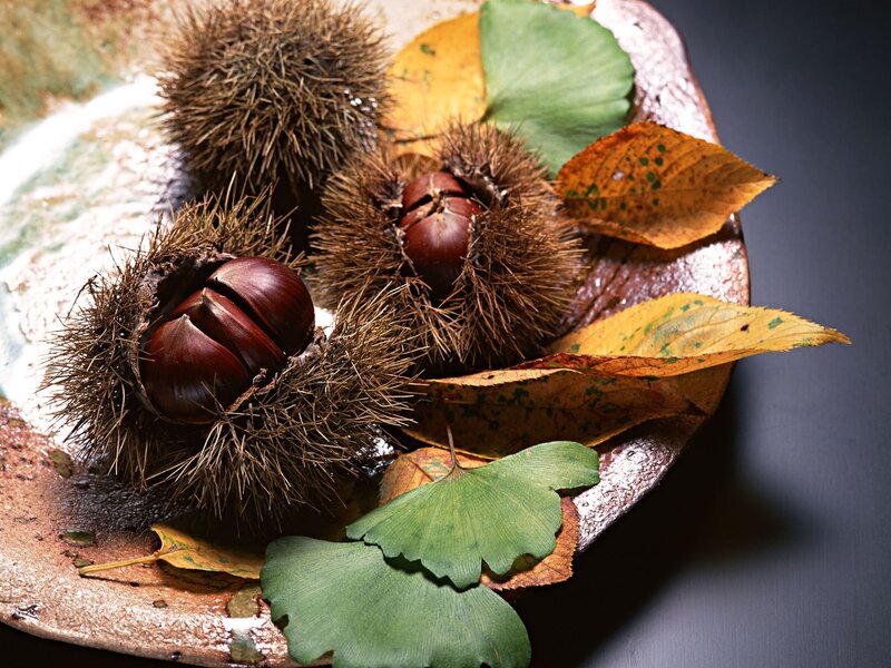 Chestnuts in Spiky Shells — Brown