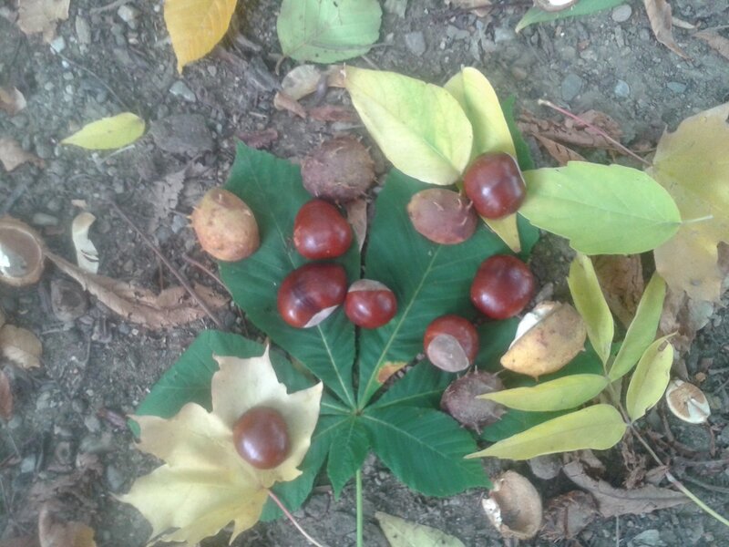 Chestnuts on Leaves