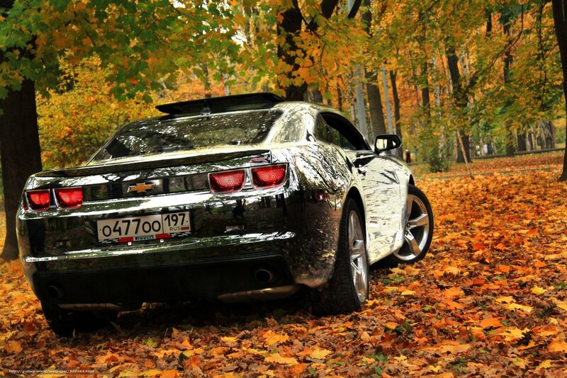 Chevrolet Camaro in autumn park