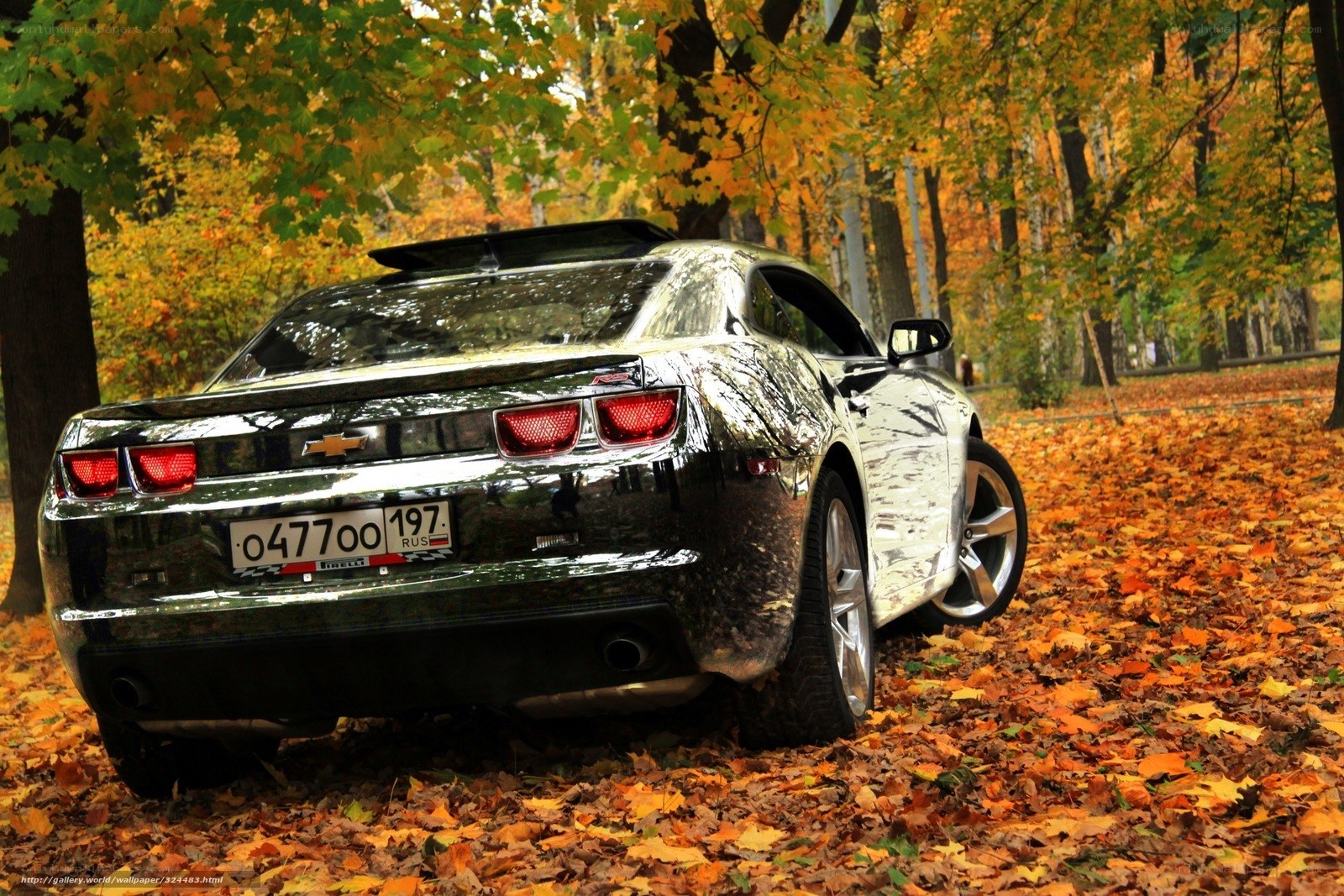 Chevrolet Camaro in autumn park