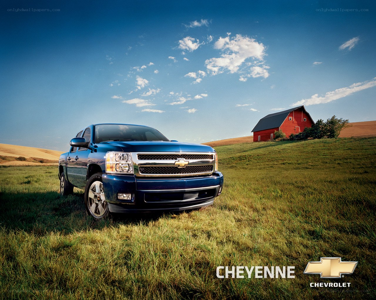 Chevrolet Cheyenne in a field