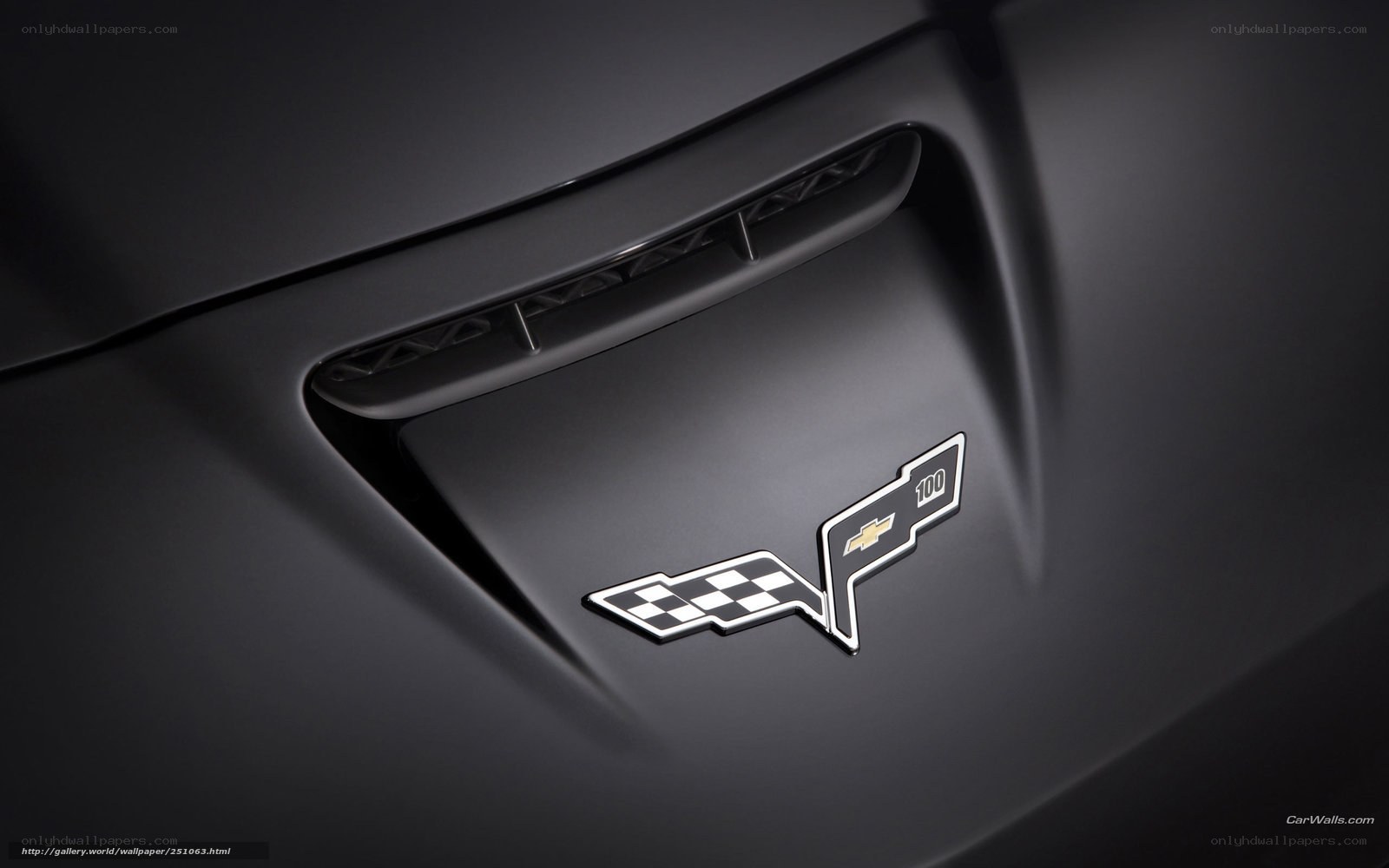 Chevrolet Corvette 100 badge