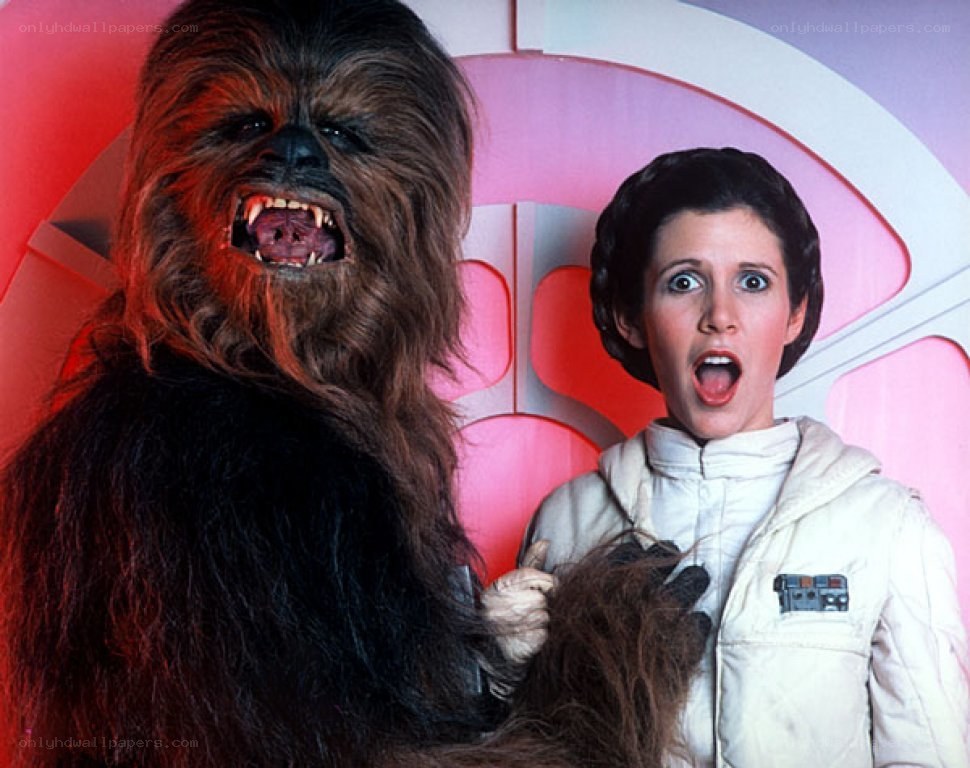 Chewbacca and Leia in a scene