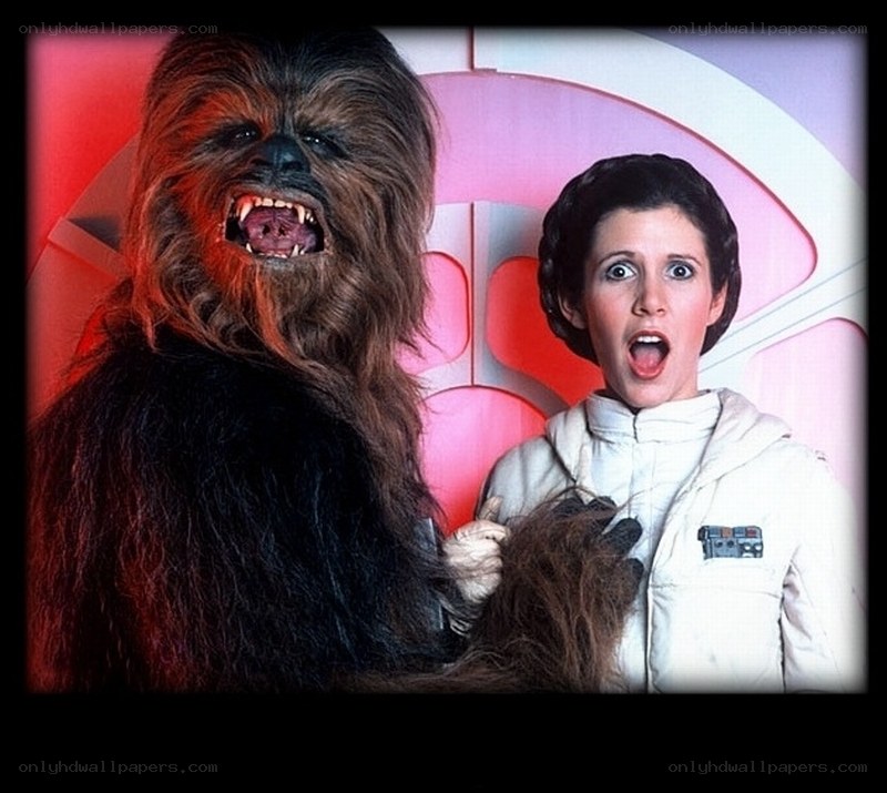 Chewbacca and Leia in a scene