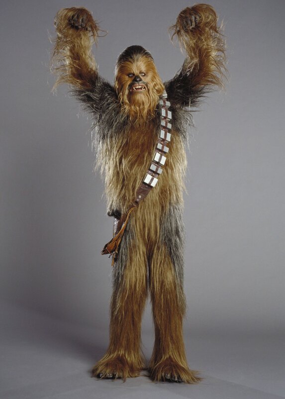 Chewbacca character portrait