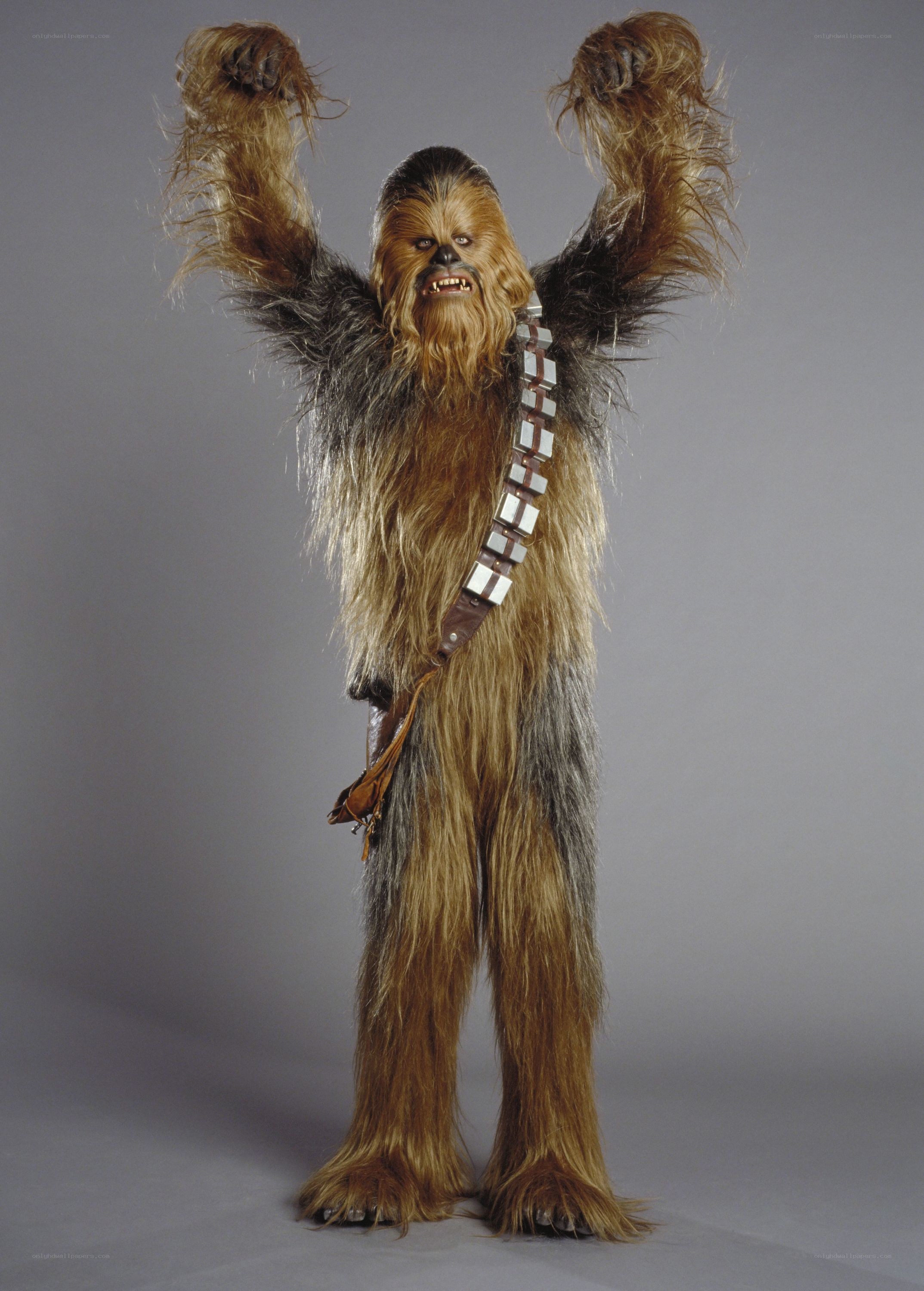 Chewbacca character portrait