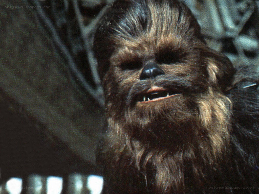 Chewbacca close-up from Star Wars