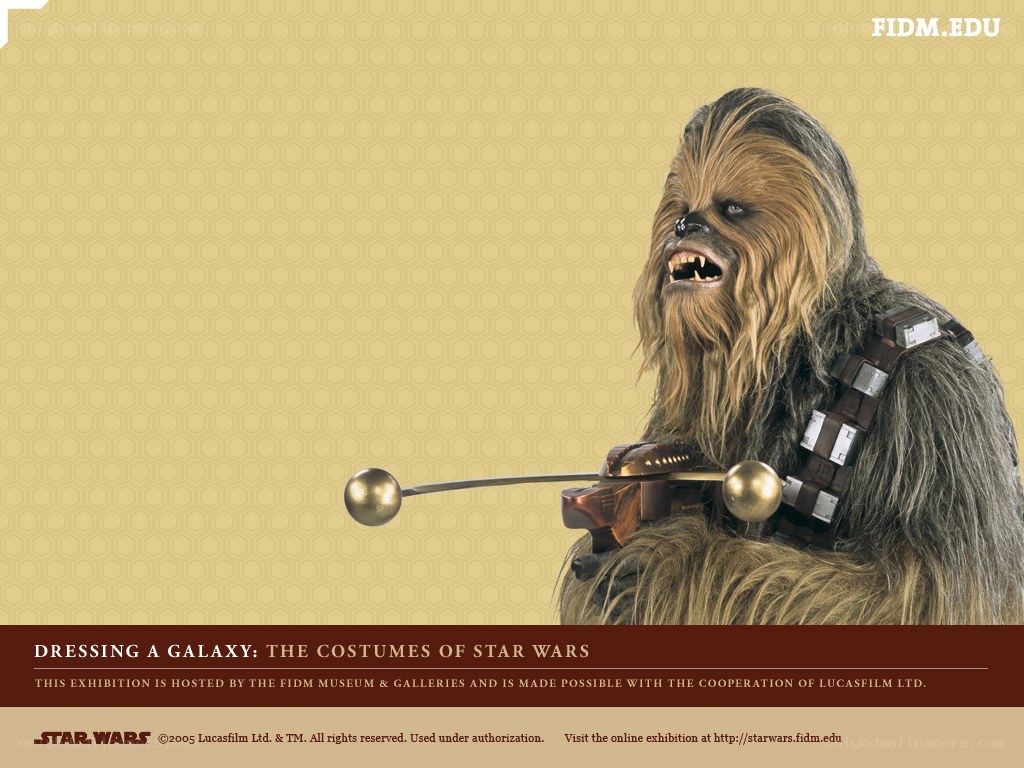 Chewbacca from Star Wars