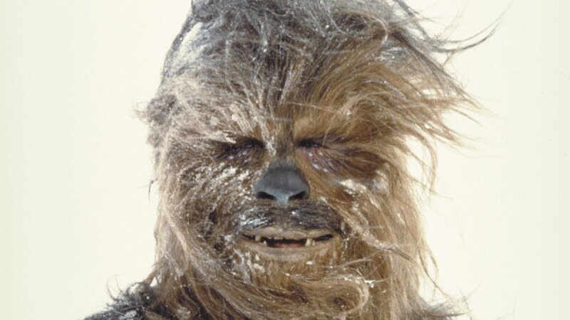 Chewbacca in snow