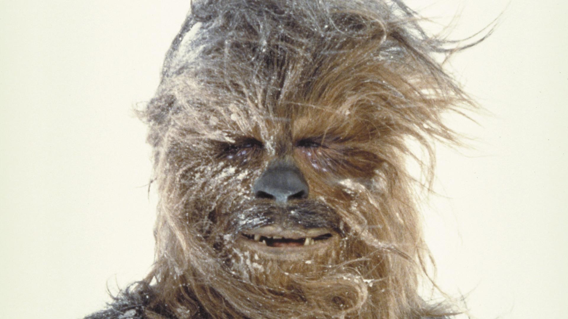Chewbacca in snow