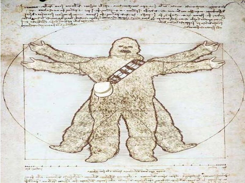 Chewbacca Vitruvian Man