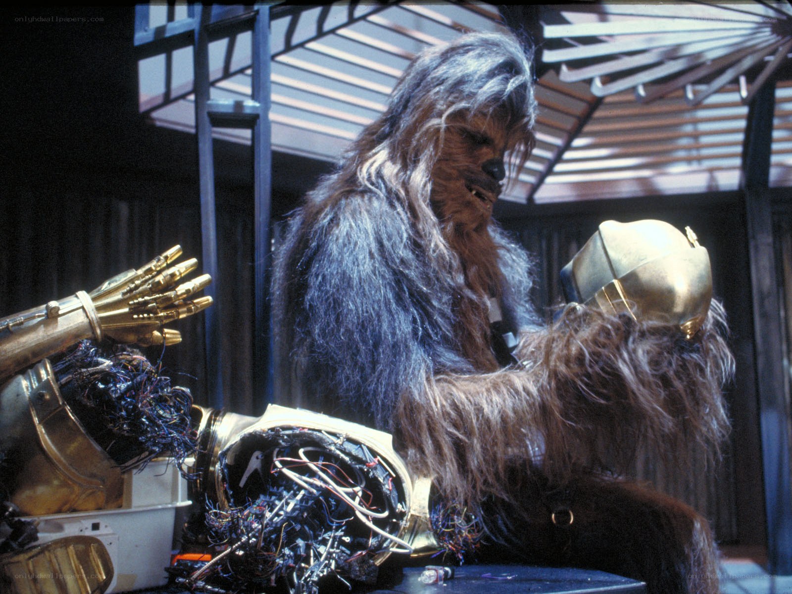 Chewbacca with droid parts