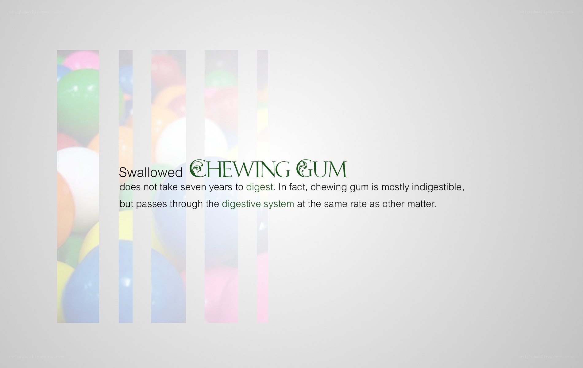 Chewing Gum Digestion Myth