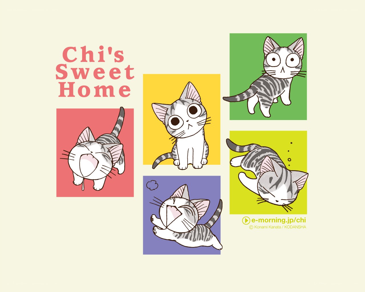 Chi's Sweet Home