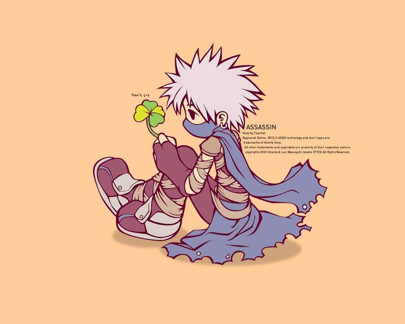 Chibi Assassin Character — Orange
